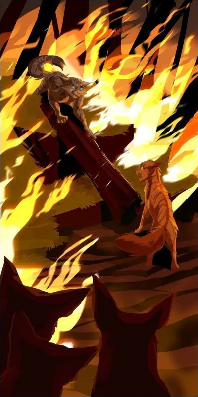 Lors d'un incendie, Poil d'Écureuil, ses frères, et le félin qu'elle tuera plus tard, sont coincés dans le camp. Quel secret Poil d'Écureuil leur révèle-t-elle ?