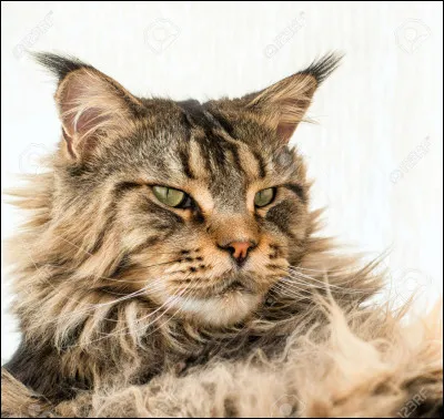 Qui est son père adoptif ?