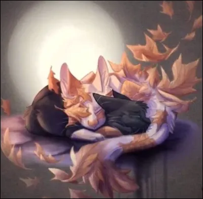 Qui est resté avec elle lorsqu'elle a fui le Clan du Tonnerre ?