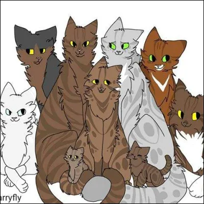 Et qui es-tu dans ta classe ?