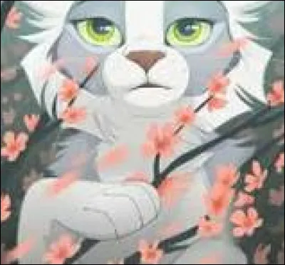 Comment réagis-tu si tu es obligé de devenir guérisseur ?