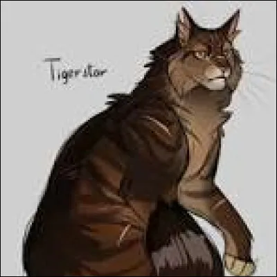 Okay, et sinon, lequel de tous les chatons d'Étoile du Tigre réussis-tu à plus t'associer ?