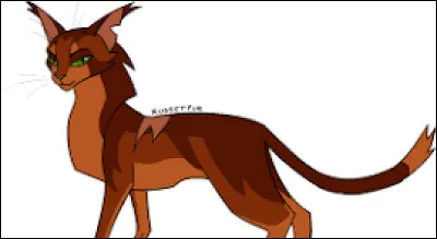 Et sinon, es-tu rapide, agile ou svelte ?