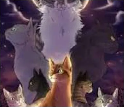 C'est assez, les questions sur tes capacités ou ton physique. Maintenant, parlons de personnalité.

Est-ce que tu es calme ?