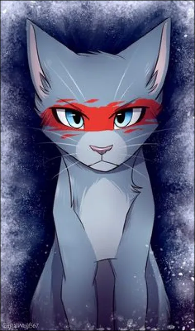 As-tu une matière à l'école, parmi celles-ci, dans laquelle tu es particulièrement doué ?