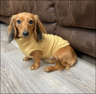 Et voici un charmant...