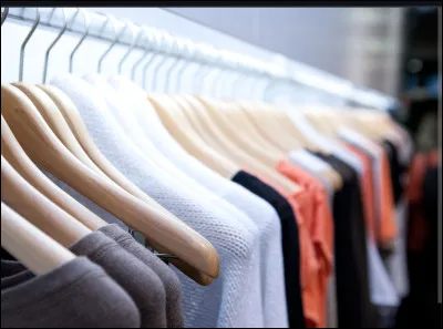 Quelle tenue pourriez-vous mettre tous les jours ?