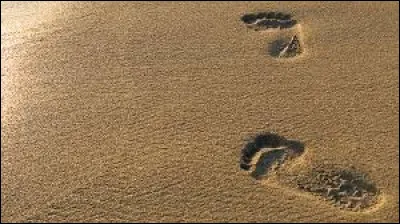 Quel sport Jérémy Pied pratique-t-il ?