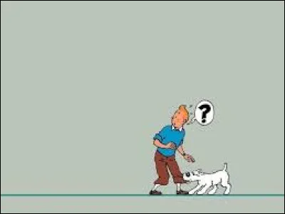 Quel orphelin Tintin sauve-t-il ?