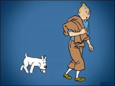 Comment Tintin déchiffre-t-il le message codé des bateaux ?