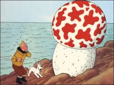 Quel navire Tintin va-t-il se battre pour acheter avec deux autres clients ?