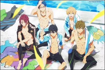 Quel est cet animé ?