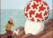 Quiz Les aventures de Tintin - Avez-vous lu ''Le Trsor de Rackham le Rouge'' ?