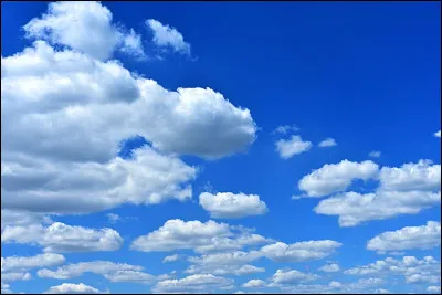 Qu'est-ce qu'un tarsier ?