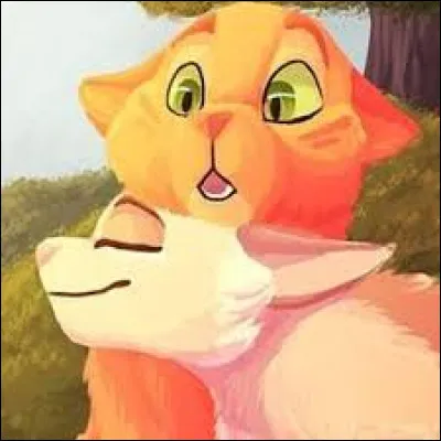 Qui est le compagnon que tu voudrais absolument ?