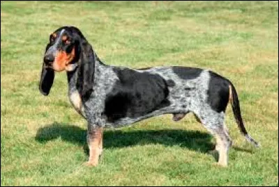 Les boucles de Garonne. Julien Clerc.

Le roi Anglais, les Ducs Normands
Et tous les princes Allemands
M'ont arraché ---
Pour un caprice, pour un élan


D'où l'ont-ils arraché ?
