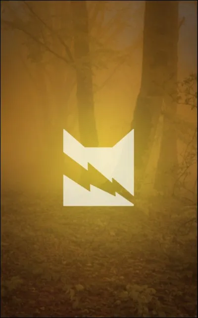 Qui est le premier guérisseur du Clan du Tonnerre ?