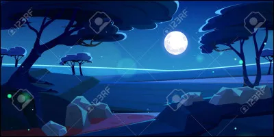 À quel moment de la journée veux-tu qu'il soit sur ton image ?