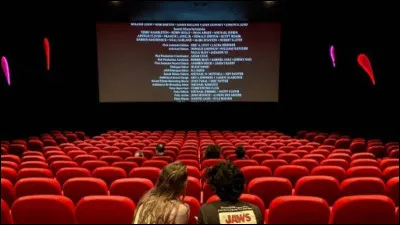 Par quel autre verbe peut-on remplacer l'anglicisme "spoiler", qui signifie "dévoiler la fin d'un film" ?