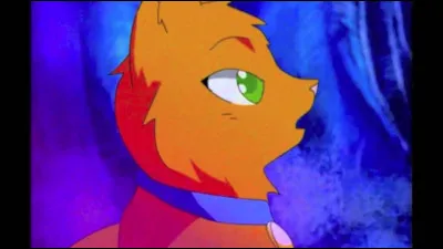 Quel est le premier chat sauvage qui rencontre Rusty ?