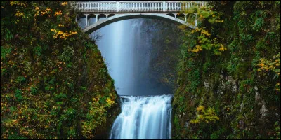Quel est le degré d'angle de vue d'un cheval ?