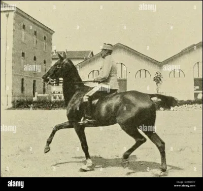 Le passage du pas au trot est une allure :