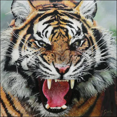 Quel est votre animal préféré ?