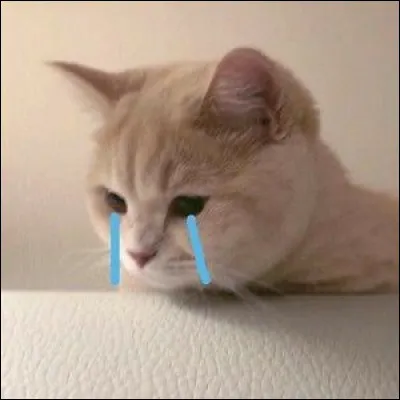 Quand quelquun pleure, tu es plutôt...