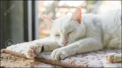 Elle est morte dans le tome quatre.