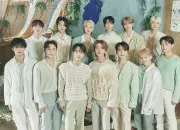 Quiz K-pop (Groupe 5) : Seventeen, un grand groupe !