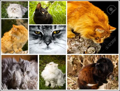 Par quel animal est-il souvent représenté ?