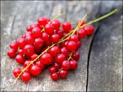 Dans quel film culte trouve-t-on la famille Groseille ?