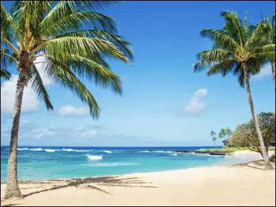 Quelle est ta qualité ?