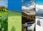 Test Quel animal te reprsente le mieux ?