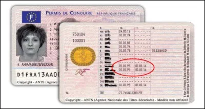 Quelle catégorie de permis autorise la conduite d'un poids lourd ?