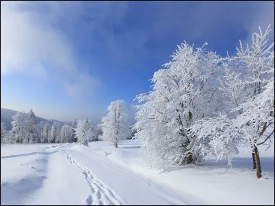 À quel groupe doit-on le titre "Le Jour s'est levé " ?