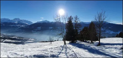 Qui n'a jamais chanté "Night and Day" ?