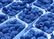 Quiz Code couleur ''bleu'' !