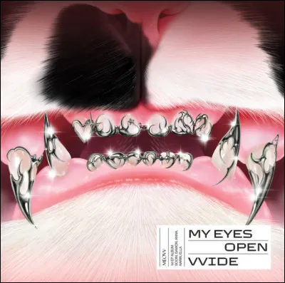 À quel groupe appartient cette pochette d'album ?