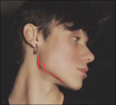 Ta mâchoire forme-t-elle un angle droit ?