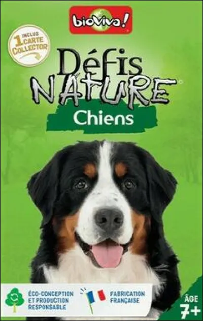Existe-t-il un jeu de cartes défi nature-chien ?