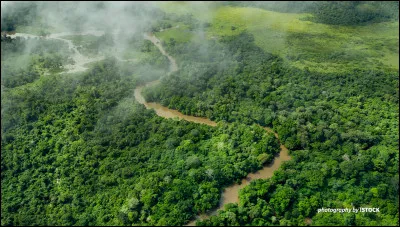 En quelle année la Banque centrale du Congo a-t-elle été fondée ?