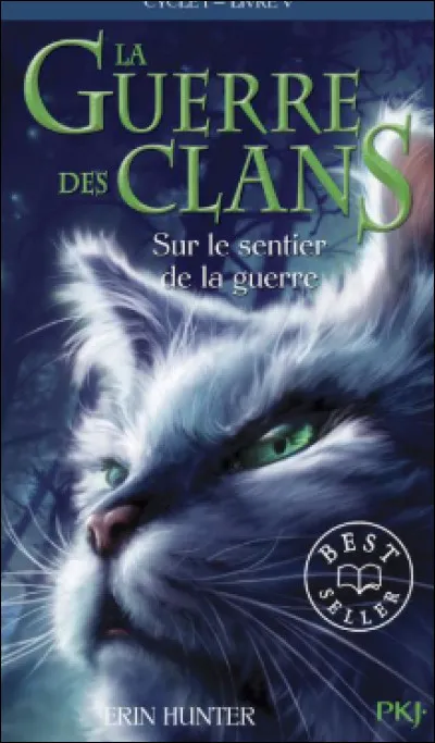 Quel guérisseur préférez-vous ?