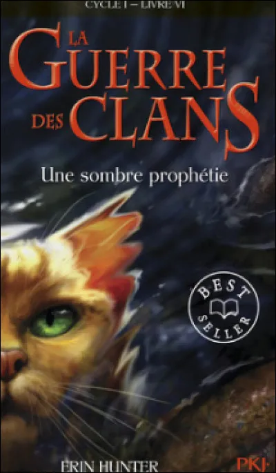 Quel chat de clan préférez-vous ?