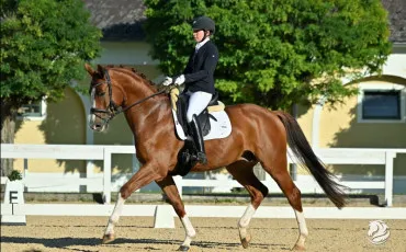 Quiz Galop 2