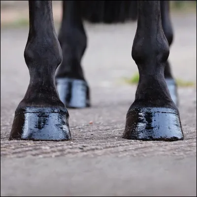 Le parage est l'action de :