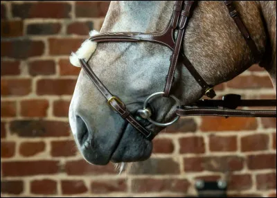 Comment cet équipement s'appelle-t-il ?