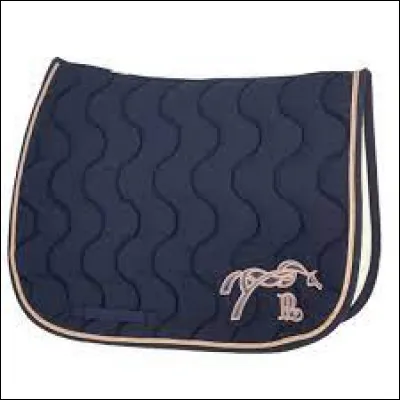 Qu'est-ce que cet objet ?