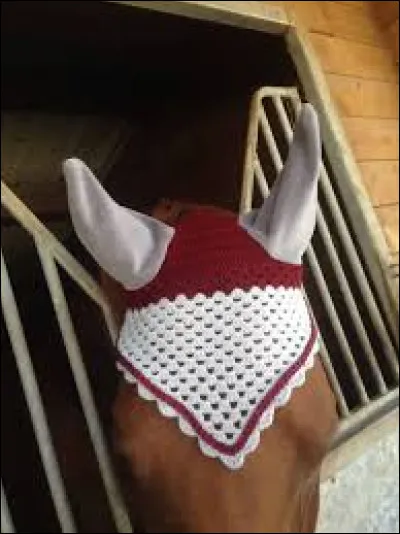 Qu'est-ce que cet objet ?