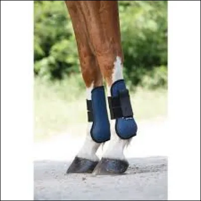 Qu'est-ce que cet objet ?